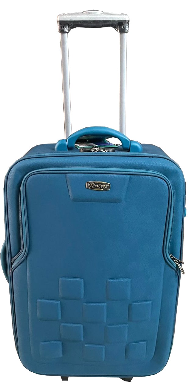 Protege 2-Pc Luggage Set with Carry-on Tote, Animal Print (Online  Exclusive) - Walmart.com
